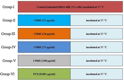 Crude Cell-Free Extract From Deinococcus radiodurans Exhibit Anticancer Activity by Inducing Apoptosis in Triple-Negative Breast Cancer Cells